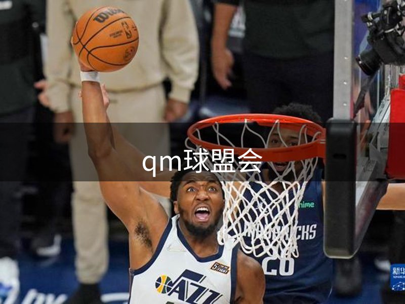 网站主张